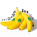 【ふるさと納税】《季節限定4月-11月出荷》 バナナ 1kg （5 - 7本程度） 皮ごと食べられる！壱岐王様バナナ [JEL001]