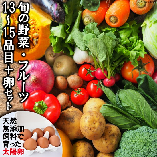 【ふるさと納税】旬の野菜・フルーツセット【太陽卵6個付き】 13品目から15品目の豪華セット 野菜セット