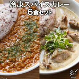 【<strong>ふるさと納税</strong>】冷凍<strong>スパイスカレー</strong>6食セット＜カレーライフ＞【長崎県雲仙市】