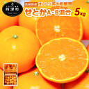 【ふるさと納税】 長崎県産 せとか みかん 約5kg 蜜柑 ...