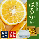 【ふるさと納税】長崎県産はるか 8kg 柑橘 蜜柑 ミカン ...