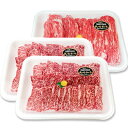 【ふるさと納税】長崎和牛 牛肉 焼肉・すき焼きセットA【焼肉...