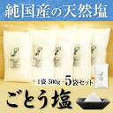 【ふるさと納税】亀山堂 長崎県産 五島塩 500g×5袋 送...