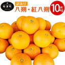 【ふるさと納税】訳あり 八朔・紅八朔 約10kg はっさく ...
