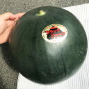 【ふるさと納税】【2023年5月発送開始】熊本県産ブラックジャック(高級西瓜)約5キロ 1玉 すいか スイカ 黒皮 フルーツ 果物 くだもの 果実 常温発送 九州 熊本県 送料無料