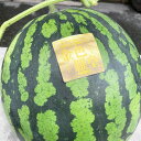 【ふるさと納税】【2023年5月発送開始】熊本県産金色羅皇(高級西瓜)約5キロ 1玉 すいか スイカ 黄色 フルーツ 果物 くだもの 果実 常温発送 九州 熊本県 送料無料