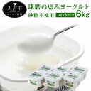 【ふるさと納税】球磨の恵み ヨーグルト 砂糖不使用 1kg ...