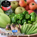 【ふるさと納税】ひとよし球磨産 新鮮農作物詰合せ 7〜12品...