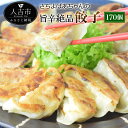 【ふるさと納税】さちよばあちゃんの旨辛絶品餃子 170個 餃子 中華 柚子胡椒 おつまみ 惣菜 冷凍 送料無料