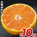 【ふるさと納税】熊本県産 大粒熊本みかんたっぷり10kg(3...