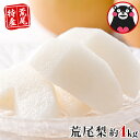 【ふるさと納税】熊本県荒尾市産 荒尾梨 約4kg(約5玉〜1...