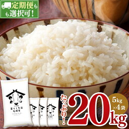 【ふるさと納税】令和5年産 <strong>米</strong> 20kg (5kg×4) 1回 3回 6回 12回 <strong>定期便</strong> お<strong>米</strong> 白<strong>米</strong> 数量限定 訳あり