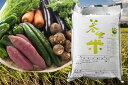 【ふるさと納税】C-67 養生米と旬の野菜セットC