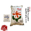 【ふるさと納税】令和2年産 天恵米 コシヒカリ 10kg も...