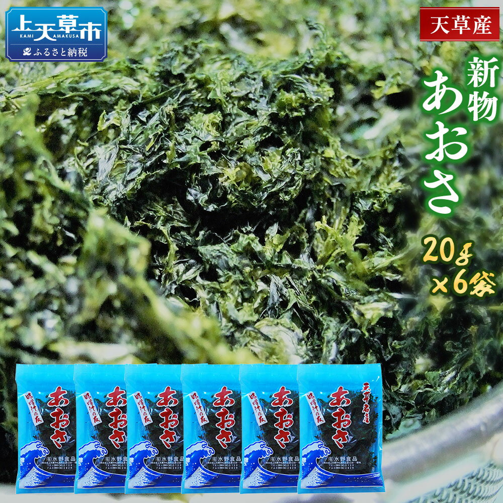 【ふるさと納税】天草産あおさ(乾燥)20g×6袋 アオサ 青のり 具 熊本県産 九州 冷蔵 送料無料