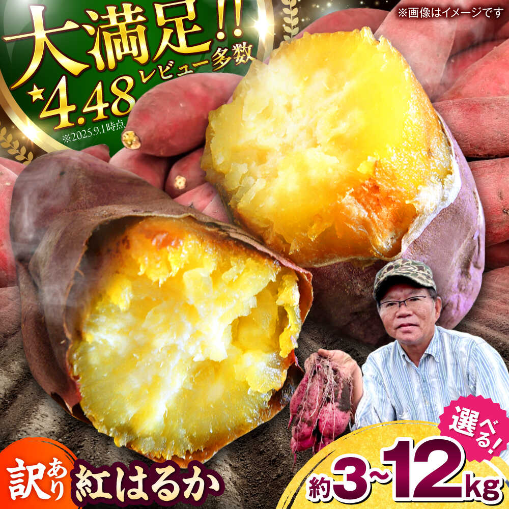 【ふるさと納税】【先行予約】【訳あり/数量限定】 〈選べる容量！〉紅はるか さつまいも 約3~12kg 【Shiro Planning 株式会社】[AYAJ001] 芋 いも サツマイモ さつま芋 甘藷 唐芋 種類 保存方法 長期保存 旬 産地 サイズ 完熟 熟成 焼芋 焼き芋 焼きいも やきいも スイーツ