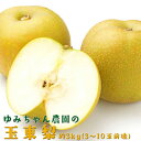 【ふるさと納税】ゆみちゃん農園の玉東梨 約3kg(3〜10玉...