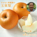 【ふるさと納税】さかもと果樹園の玉東梨 約3kg (3玉-1...