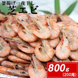 【ふるさと納税】 えび エビ 釜揚げ一夜干し 芝えび (800g) 約200尾 海鮮 海産 魚介 <strong>内野</strong>海産《45日以内に出荷予定(土日祝除く)》