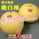 【ふるさと納税】熊本県産 晩白柚(2玉)