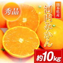 【ふるさと納税】熊本県産 河内みかん(約10kg)《1月上旬...