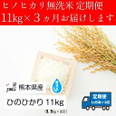 【ふるさと納税】定期便【3回】無洗米「ひのひかり」 なごみ町産 11kg<11月より順次発送スタート>