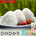 【ふるさと納税】 11年連続最高評価 特A 受賞! 令和2年産 新米 ひのひかり 11kg 熊本 県産 白米 11kg +国産雑穀米 先行予約 令和2年 精米 御船町《11月下旬-12月末頃より順次出荷》