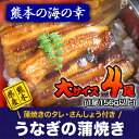 ★大サイズ4尾★熊本県産うなぎの蒲焼き【ふるさと納税】今なら...