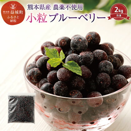 小粒 冷凍 ブルーベリー 2kg 農薬不使用 スムージー ヨーグルト フルーツ 果物 九州産 国産 数量限定 送料無料