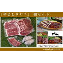 【ふるさと納税】やまとジビエ 猪セット 【お肉・お肉・肉の加...