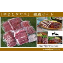 【ふるさと納税】やまとジビエ 猪鹿セット 【お肉・お肉・肉の...
