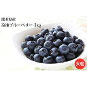 【ふるさと納税】熊本産 大粒 冷凍ブルーベリー1kg 【果物...