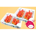 【ふるさと納税】なかはた農園の家庭用イチゴ（280g）×4パック　【果物類・いちご】　お届け：2020年12月〜2021年5月初旬