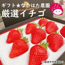 【ふるさと納税】なかはた農園の イチゴ ギフト 先行予約12月より発送開始予定【配送不可:離島】 【果物類・いちご・苺・イチゴ・ギフト】 お届け:2022年12月~2023年5月初旬