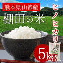 【ふるさと納税】熊本県産 ヒノヒカリ棚田の米5kg