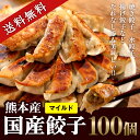 【ふるさと納税】熊本県産餃子100個(マイルド)...