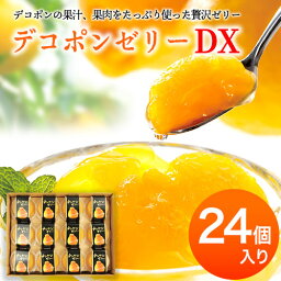 【ふるさと納税】<strong>デコポンゼリー</strong>DX 24個入《60日以内に出荷予定(土日祝除く)》熊本県 葦北郡 津奈木町 <strong>あしきた</strong>農業協同組合 JA<strong>あしきた</strong> 柑橘 デコポン フルーツ 果物 ゼリー ギフト 包装 送料無料