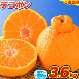 【ふるさと納税】<strong>デコポン</strong> ご家庭用 <strong>デコポン</strong> 約 3.6kg （約9‐18玉前後）訳あり <strong>熊本</strong>県産 柑橘 個別光センサー選果 柑橘 フルーツ 果物 旬 <strong>不知火</strong> でこぽん ご家庭用 みかん《4月上旬-5月上旬頃出荷》