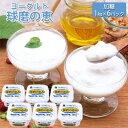 【ふるさと納税】球磨の恵ヨーグルト 1kg×6パック 【乳製品・ヨーグルト・砂糖・シュガー】