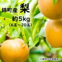 【ふるさと納税】「先行予約」錦町産 梨 約5kg【6玉~16玉】2021年8月上旬より順次出荷 ※配送不可:離島 【梨・ナシ・果物・フルーツ・先行予約】 お届け:2021年8月1日~10月31日
