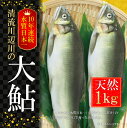【ふるさと納税】天然あゆ 1kg 清流川辺川10年連続水質日...