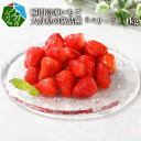 【ふるさと納税】瞬間冷凍いちご 大分県の新品種『ベリーツ』1kg C07005【大分県大分市】