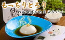 【ふるさと納税】もっちりとろりの胡麻豆腐!こだわりの塊「臼杵とうふ」8個