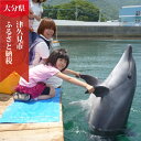 【ふるさと納税】イルカとふれあい体験チケット