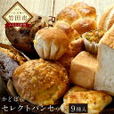 【ふるさと納税】かどぱん セレクトパンセット 9種類入 自家...