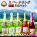 【ふるさと納税】久住ワイナリー スパークリング 5本セット ...