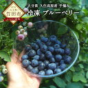 【ふるさと納税】冷凍 ブルーベリー 1kg 無農薬 手摘み ...
