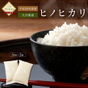 【ふるさと納税】数量限定 大分県産 ヒノヒカリ 5kg×2 ...