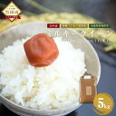 【ふるさと納税】30年産 ミルキークイーン 白米 5kg 1...
