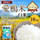 【ふるさと納税】数量限定 愛鴨米 白米 10kg 29年度産...